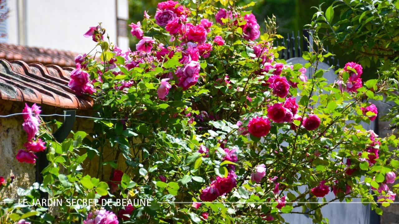 Le Jardin Secret De Beaune Beaune  Exterior photo
